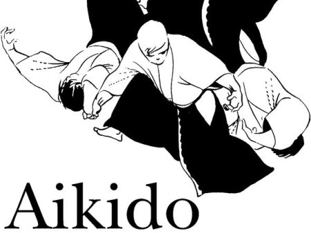 Aikido in Fredericksburg Online Sale