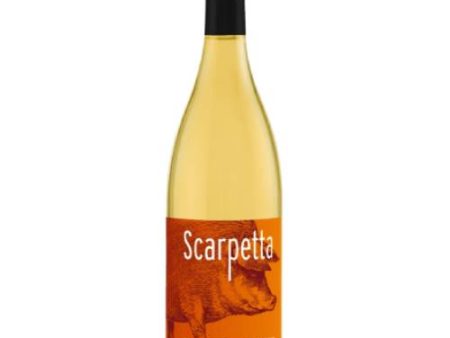 Scarpetta Sauvignon Colli Orientali DOC 2016 - 750ml For Cheap