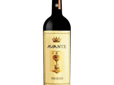 Bodegas Ordonez Avante Ribera del Duero 2014 - 750ml Online