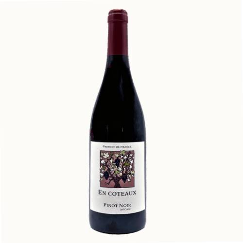 Jeff Carrel Pinot Noir En Coteaux 2021 - 750ml Online Sale