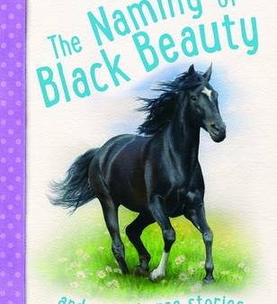 Miles Kelly: Naming of Black Beauty [2014] paperback Supply