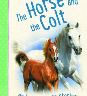 Miles Kelly: Horse & the Colt [2014] paperback Online Hot Sale